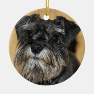 Miniature Schnauzer Keramisch Ornament