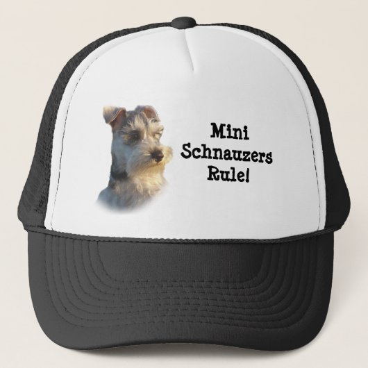 Miniature Schnauzer Pet (Voorkant)