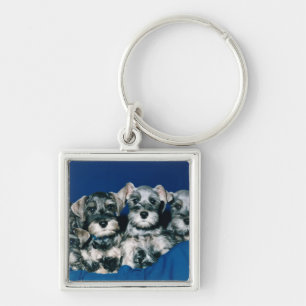Miniature Schnauzer Puppies Sleutelhanger