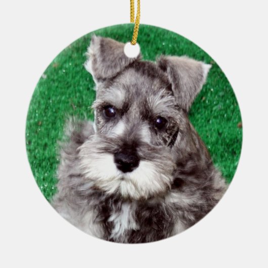 Miniature Schnauzer Puppy Dog Ornament (Voorkant)