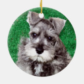Miniature Schnauzer Puppy Dog Ornament (Achterkant)