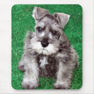 Miniature Schnauzer Puppy Mousepad Muismat