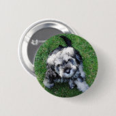 Miniature Schnuazer Puppy Button (Voorkant /achterkant)
