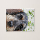 Miniature Wire Haire Dachshund Legpuzzel (Horizontaal)