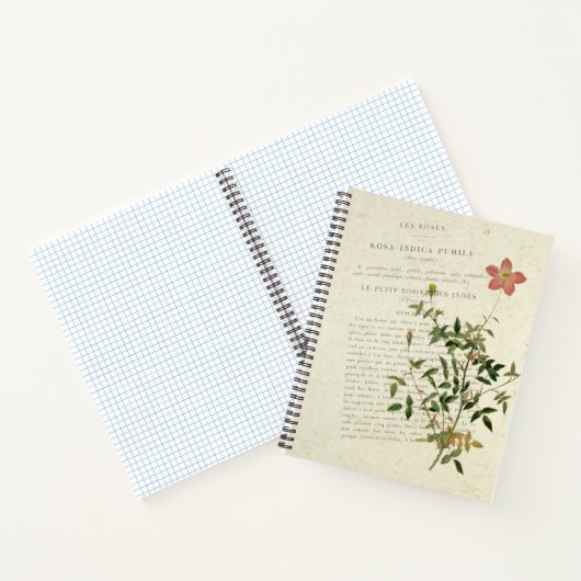 Miniatures exquises : Rosa indica pumila Carnet (Intérieur)