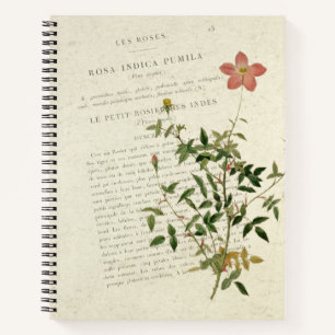 Miniatures exquises : Rosa indica pumila Carnet
