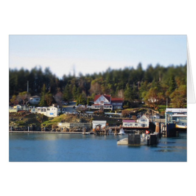 Miniaturized Orcas Island (Voorkant Horizontaal)