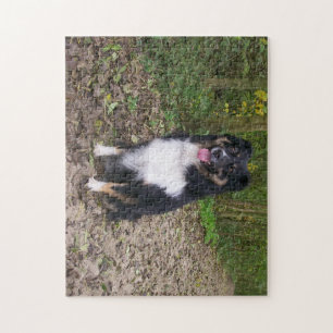 Miniatuur Amerikaanse Herder Black Tri zitten Legpuzzel
