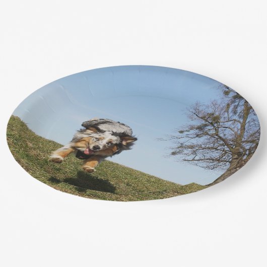 Miniatuur Amerikaanse Herder Blue Merle Jumping Papieren Bordje (Gekanteld)