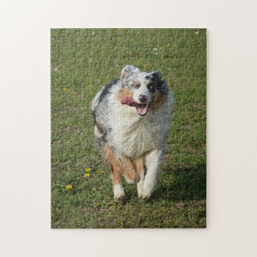 Miniatuur Amerikaanse Herder Blue Merle Running Legpuzzel (Verticaal)