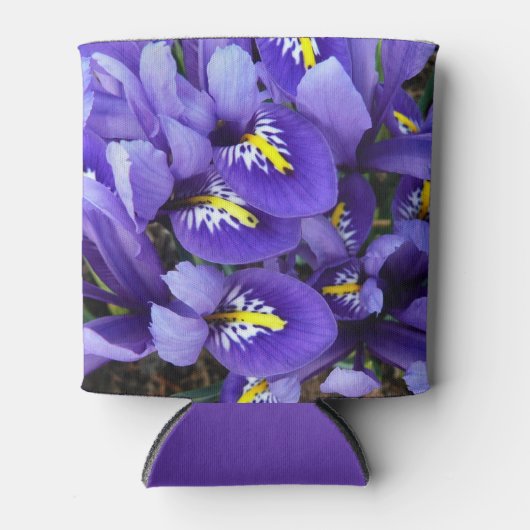 Miniatuur Blue Iriss Spring Floral Blikjeskoeler (Voorkant)