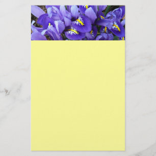 Miniatuur Blue Iriss Spring Floral Briefpapier