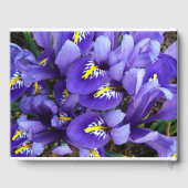 Miniatuur Blue Iriss Spring Floral Gastenboek (Achterkant)