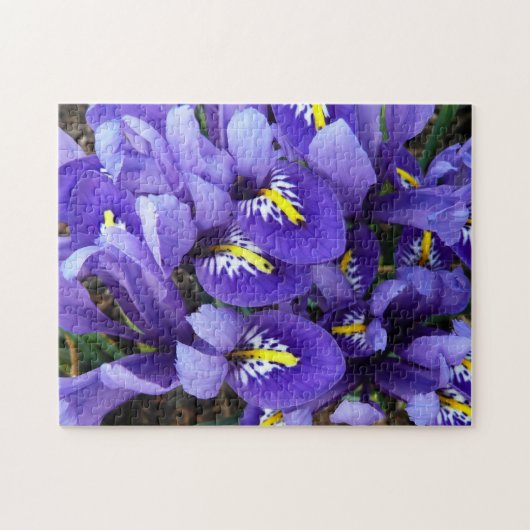 Miniatuur Blue Iriss Spring Floral Legpuzzel (Horizontaal)