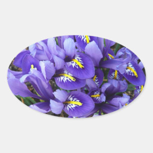 Miniatuur Blue Iriss Spring Floral Ovale Sticker