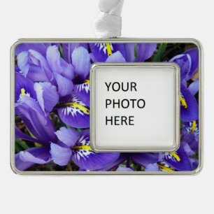Miniatuur Blue Iriss Spring Floral Verzilverd Kader Ornament