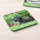 Miniatuur Dachshund 1 met gladde haren Drankjes Onderzetter (Linkerzijde)