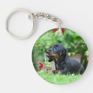 Miniatuur Dachshund 1 met gladde haren Sleutelhanger