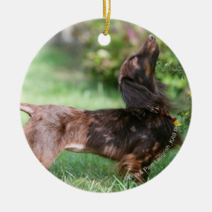Miniatuur Dachshund 1 met lange vleugels Keramisch Ornament