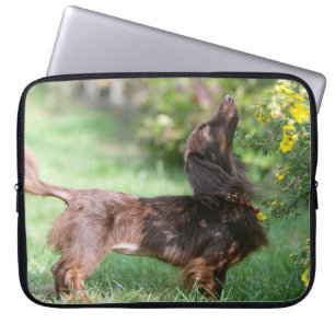 Miniatuur Dachshund 1 met lange vleugels Laptop Sleeve