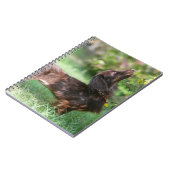 Miniatuur Dachshund 1 met lange vleugels Notitieboek (Linkerzijde)