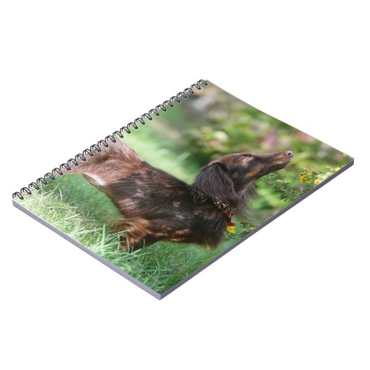 Miniatuur Dachshund 1 met lange vleugels Notitieboek (Linkerzijde)