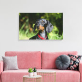 Miniatuur Dachshund 3 met gladde haren Canvas Afdruk (Insitu (Woonkamer))