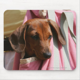 Miniatuur Dachshund Puppy met gladde haren Muismat