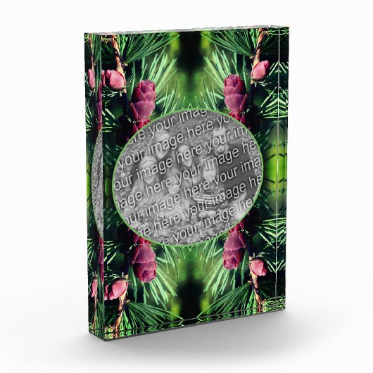 Miniatuur dennenappels Lijst Voeg je eigen toe Fotoblokken (Links)