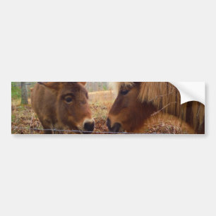 Miniatuur Donkey & Horse Valentijn Heart Bumpersticker