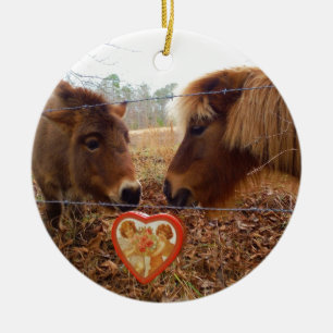 Miniatuur Donkey & Horse Valentijn Heart Keramisch Ornament