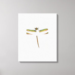 Miniatuur Dragonfly op witte achtergrond Canvas Afdruk