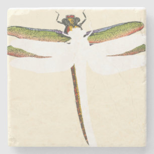 Miniatuur Dragonfly op witte achtergrond Stenen Onderzetter