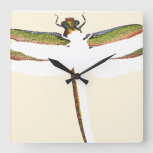 Miniatuur Dragonfly op witte achtergrond Vierkante Klok