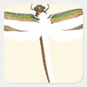 Miniatuur Dragonfly op witte achtergrond Vierkante Sticker