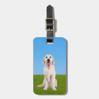 Miniatuur Engelse Crème Golden Retriever | Bagagelabel