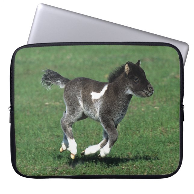 Miniatuur Foal Running Laptop Sleeve (Voorkant)