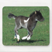 Miniatuur Foal Running Muismat (Voorkant)