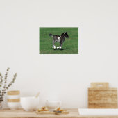 Miniatuur Foal Running Poster (Keuken)