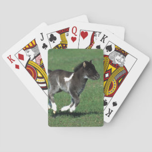 Miniatuur Foal Running Speelkaarten