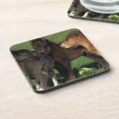 Miniatuur Foals 1 Drankjes Onderzetter (Linkerzijde)