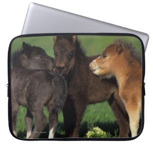 Miniatuur Foals 1 Laptop Sleeve