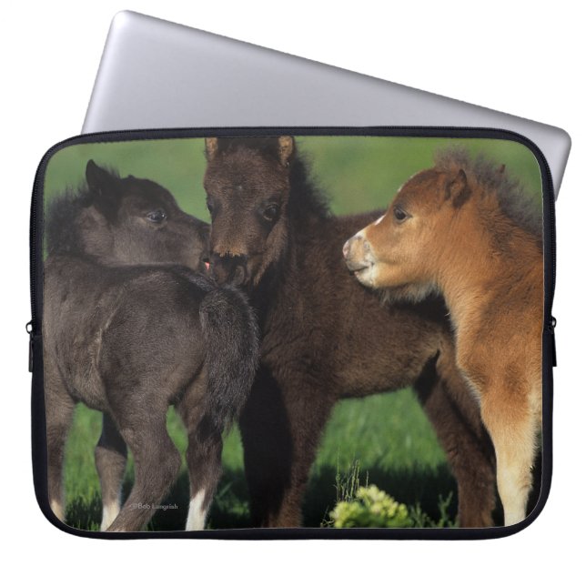 Miniatuur Foals 1 Laptop Sleeve (Voorkant)