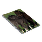 Miniatuur Foals 1 Notitieboek (Rechterzijde)