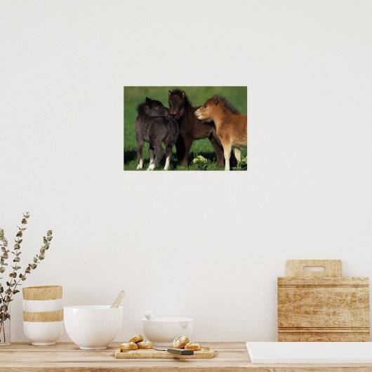 Miniatuur Foals 1 Poster (Keuken)