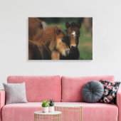 Miniatuur Foals 2 Canvas Afdruk (Insitu (Woonkamer))