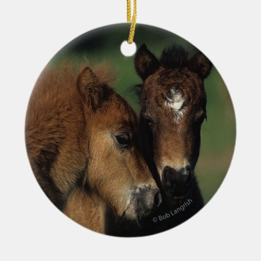 Miniatuur Foals 2 Keramisch Ornament (Voorkant)