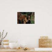 Miniatuur Foals 2 Poster (Keuken)
