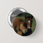 Miniatuur Foals 2 Ronde Button 5,7 Cm (Voorkant /achterkant)