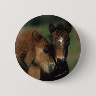 Miniatuur Foals 2 Ronde Button 5,7 Cm